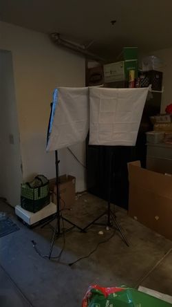 Mount Dog Studio Lights