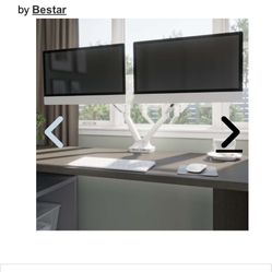 Computer Screen Dual Arm