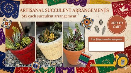 Succulent arrangement
