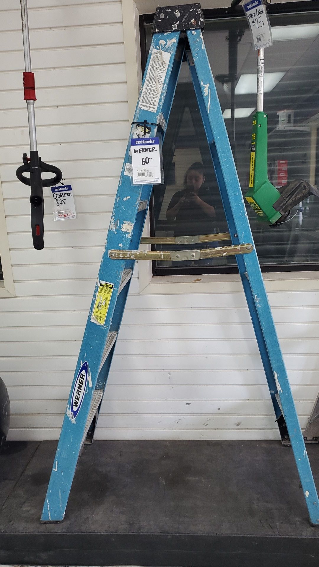 Werner 6ft ladder Fcp2229