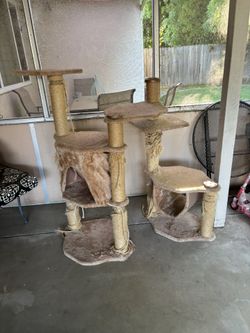 Cat Tree