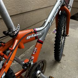 Mountain Bike