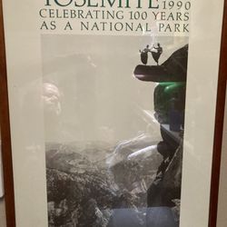 Yosemite Vintage Framed Print