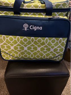 Picnic cooler Bag