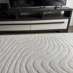 Modern TV Stand 