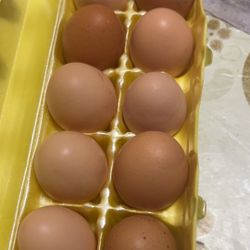 Fresh Organic Chicken Eggs