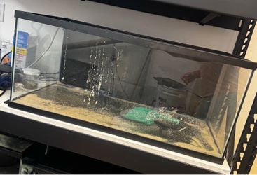 FREE 2 40 Gallon TERRARIUMS. THEY DO NOT HOLD WATER