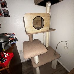 Cat Tree 