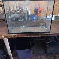 Aquarium 