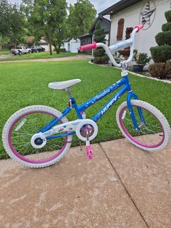 20 Inch Huffy Bike