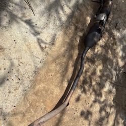 2010-2015 Prius Exhaust Original Part TB1-GP1