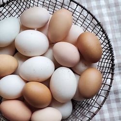 Fresh Farm Chicken Eggs 