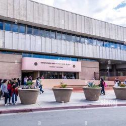 Riatero Para Coachella 