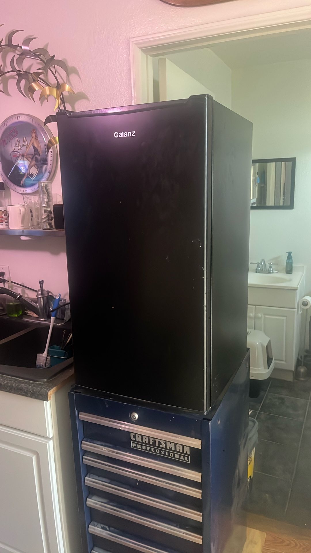 Mini Fridge