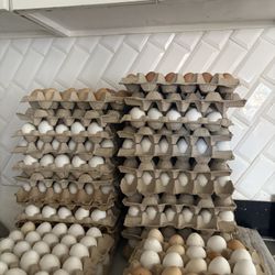 Eggs By The Dozen