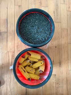 Free: Sunflower Seeds & Squirrel Food