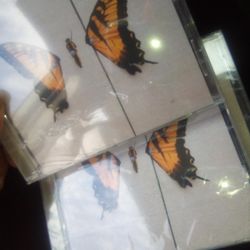 Paramore CD Brand New Eyes