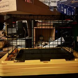 small breed dog cage