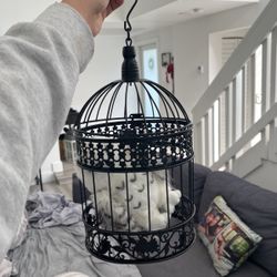 Harry Potter Owl Cage