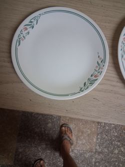 Corolla dishes
