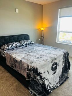 Queen Bed Set