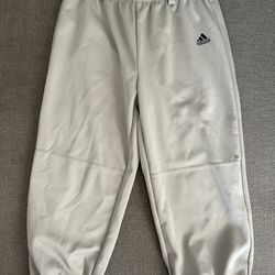 Adidas Climalite and Bike Baseball Youth Pants