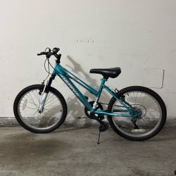 Youth Bicycle 