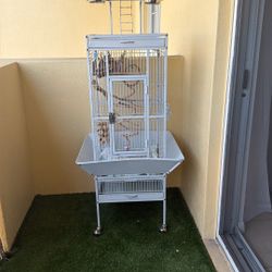 bird perch/play stand