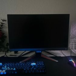 165 Hz Gaming Monitor (read description)
