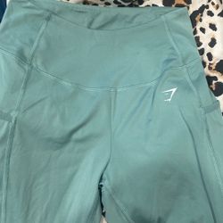 Gym Shark Leggings