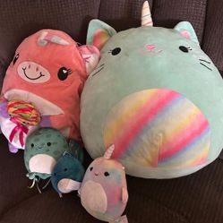 Squishmallows 