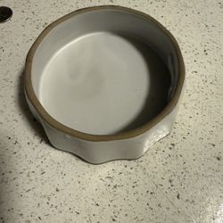 Dog Bowl 