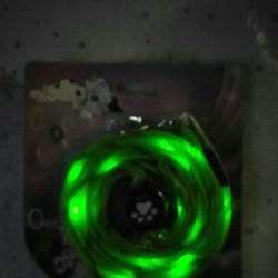 New LED Dog Leash Safety For You & Your Dog ,