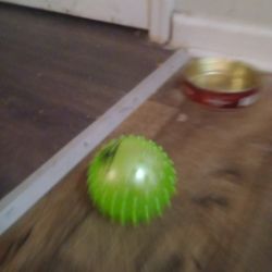 Action Figur Bouncy Ball