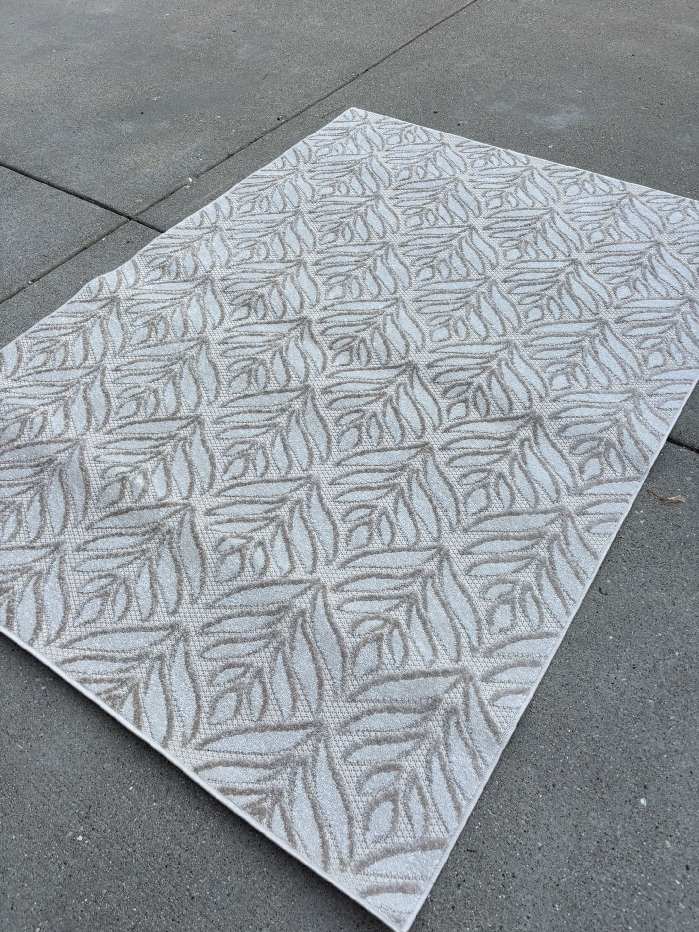 New Indoor/outdoor Rug