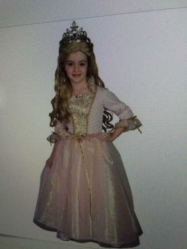 Barbie princess dress med 8-10 Halloween costume including crown