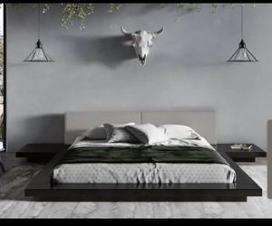 Queen Platform Bed With Mattress