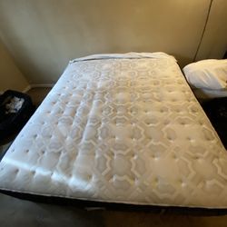King Sz Mattress 