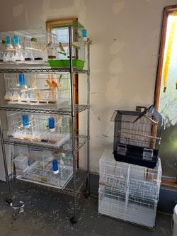 breeding cages and regular cages. The cages