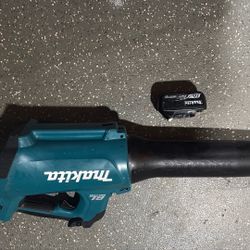 Blower And Battery