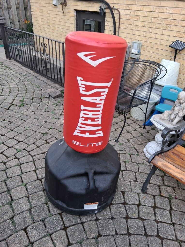 Everlast Elite Punching Bag