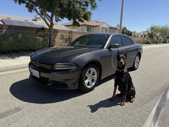 2015 Dodge Charger