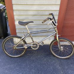 Barn find 1983 Raleigh R6000 BMX