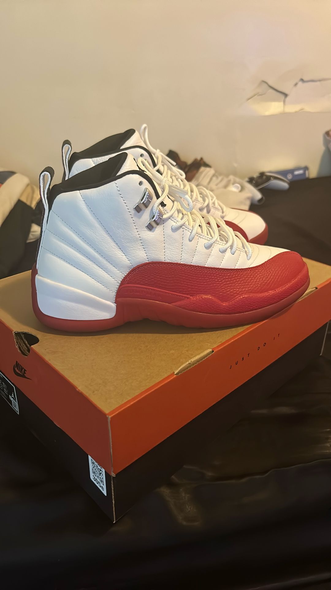 Air Jordan cherry 12’s
