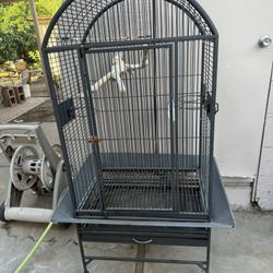 Bird Cage