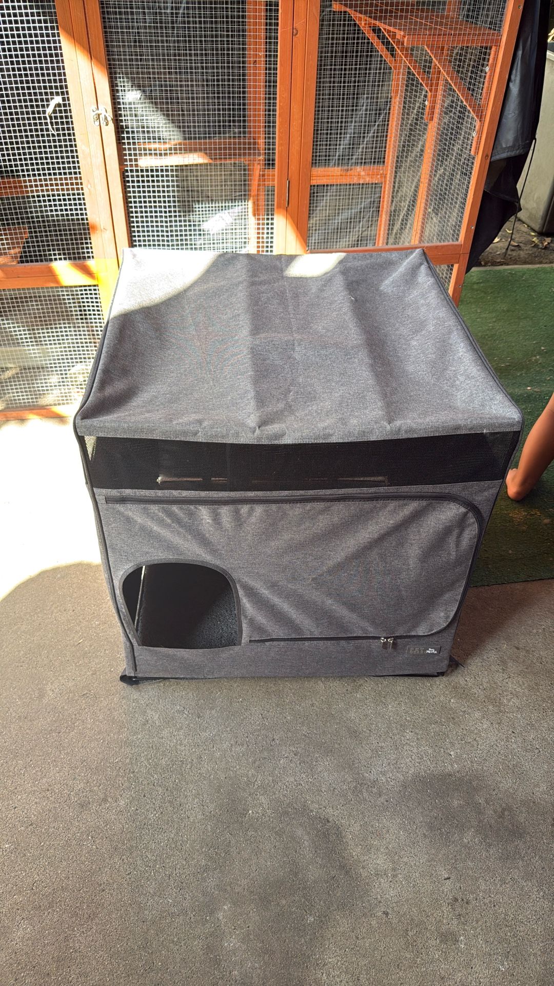 In Home Kitten Potty