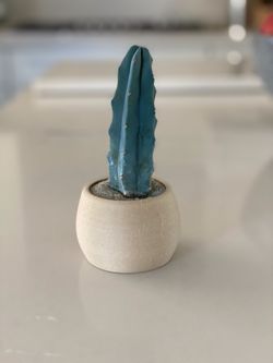 Wood/PLA Plant/succulent/Flower Pot