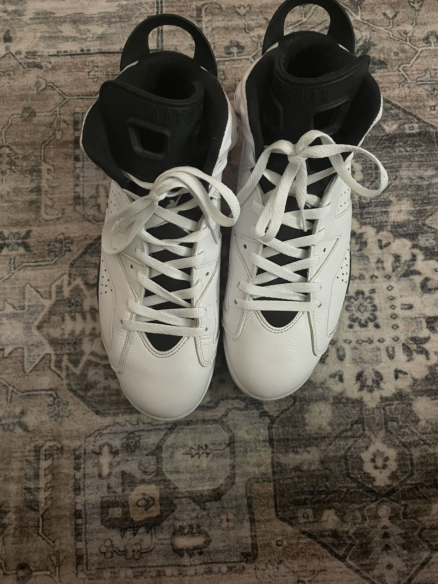 Jordan 6 Size 11