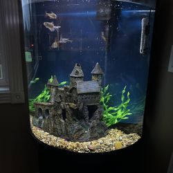 Corner Fish Tank