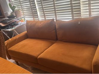 Modern Accent sofa